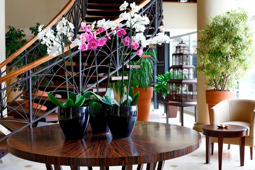 Cinar Hotel, Istanbul